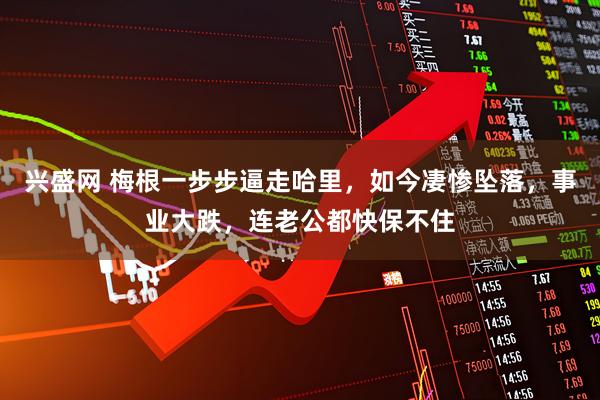 兴盛网 梅根一步步逼走哈里，如今凄惨坠落，事业大跌，连老公都快保不住