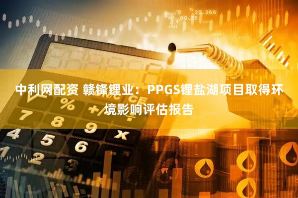 中利网配资 赣锋锂业：PPGS锂盐湖项目取得环境影响评估报告